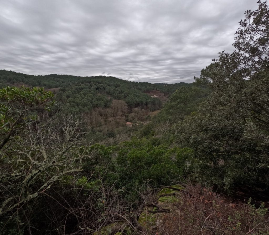 Montana Meiland: Leven, leeftijd en het gezicht van een bekend gezin